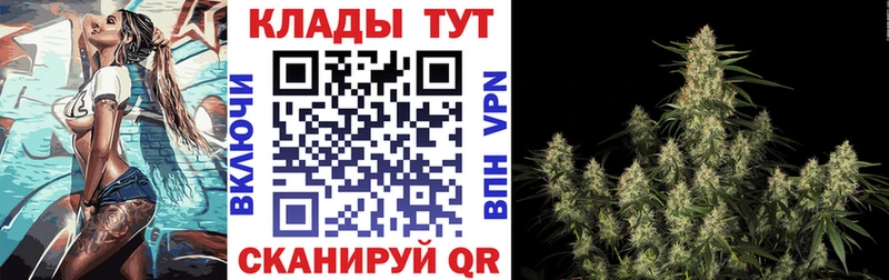 Галлюциногенные грибы Циолковский