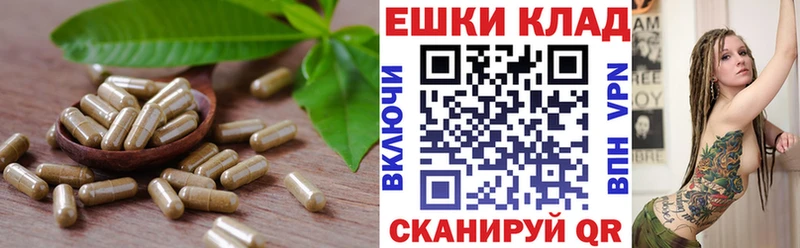 Ecstasy 280 MDMA  Купить закладки  Циолковский 