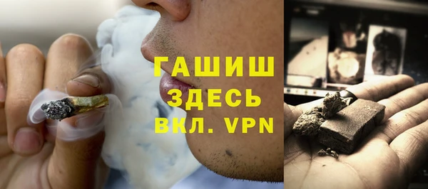 шишки Горняк