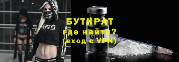шишки Горняк