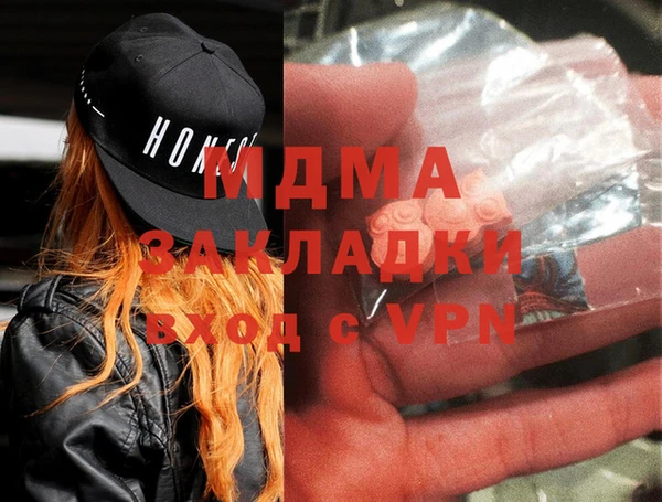 шишки Горняк