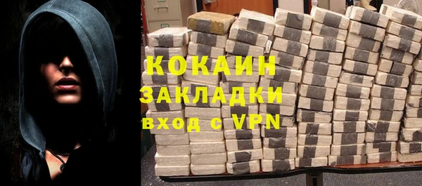 шишки Горняк