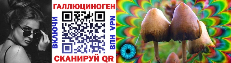 Галлюциногенные грибы Magic Shrooms  Купить где  Циолковский 